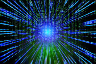 开云官方网站-新加坡队未来之路：如何在全球乒乓赛事中争夺更多荣誉，新加坡乒乓球厉害吗